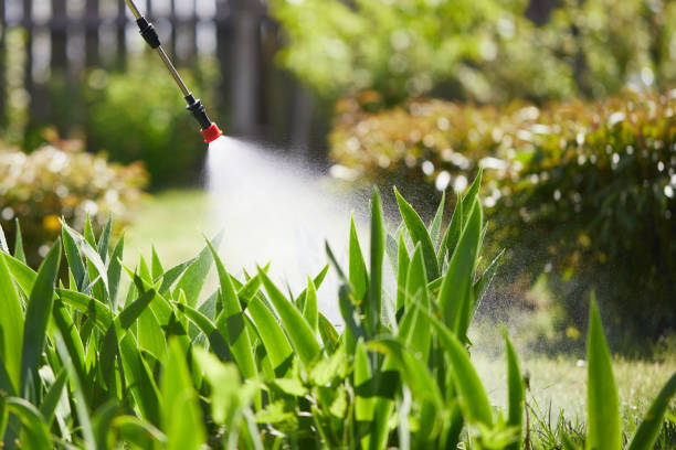 24/7 Emergency Mosquito Control experts in Century, FL