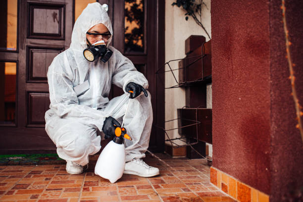 Reliable Mosquito Control contractor in Century, FL by Show Me Pest Control